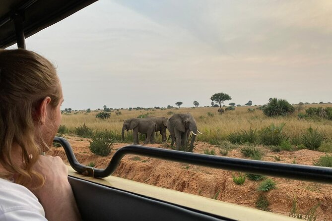 Murchison Falls National Park - 3 Days - Why Murchison Falls works well in three days