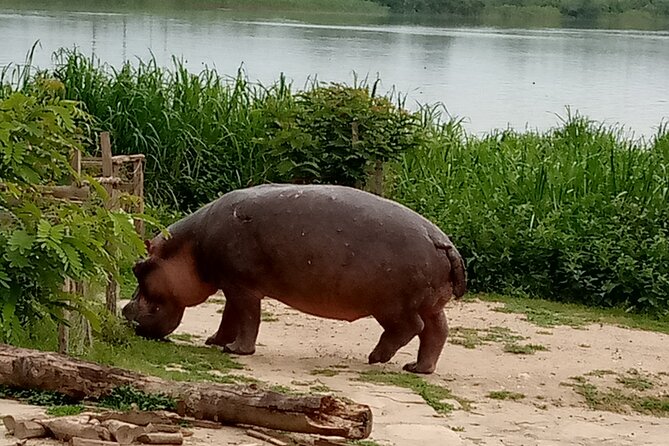 Private 3-Day Tour in Queen Elizabeth Park Safari - What the $885 price really covers