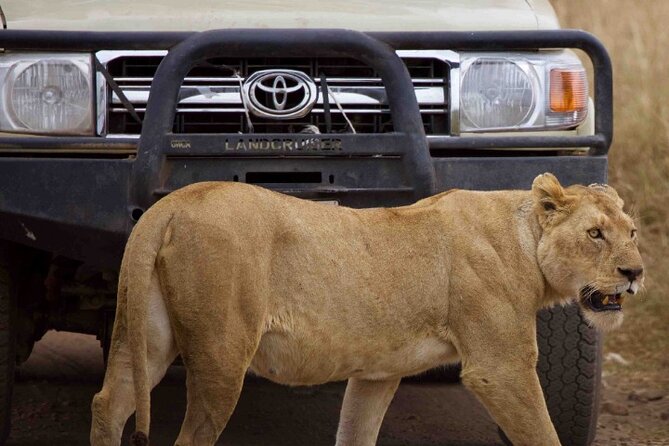 Private 3-Days of wildlife Safari exploring Uganda - Queen Elizabeth National Park and the search for big game