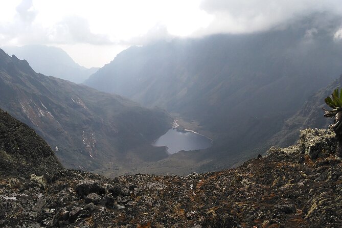 Rwenzori Mountains Trekking with Margherita Peak Summit - Day 5: The Margherita Peak summit attempt