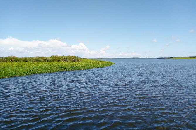Shoebill stock tracking experience at Mabamba - Taking the ferry to Sazi