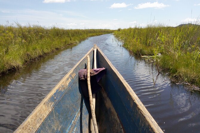 Shoebill stock tracking experience at Mabamba - What is included for $130