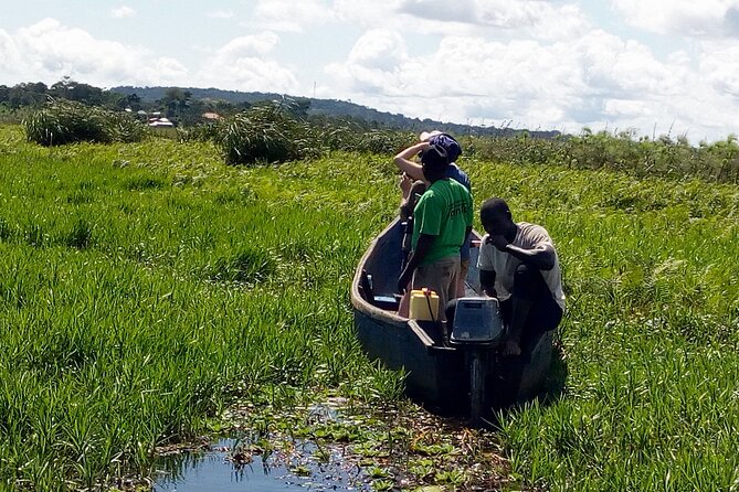 Shoebill stock tracking experience at Mabamba - Who will enjoy this outing most