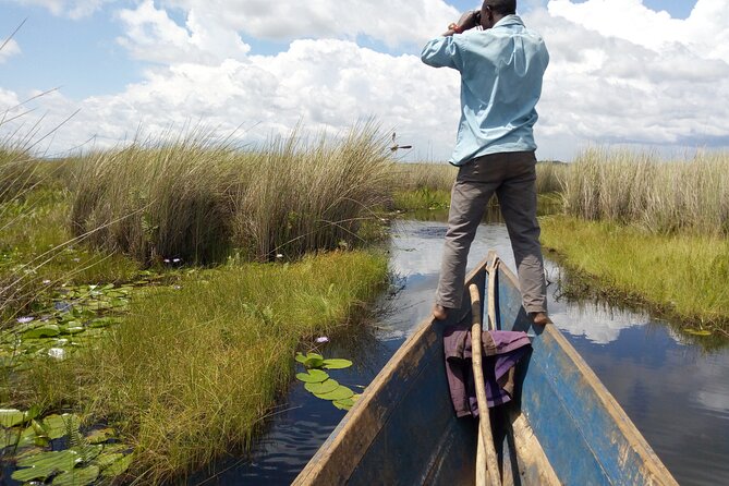 Shoebill stock tracking experience at Mabamba - A 7:00 am start from Kampala