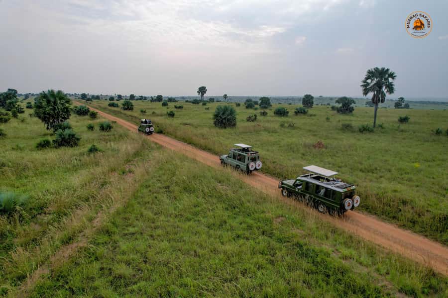 The Big5 3 Days Wildlife Adventure Experience in Uganda. - Key points to know before booking