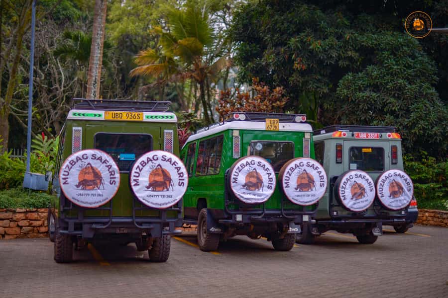The Big5 3 Days Wildlife Adventure Experience in Uganda. - Morning and evening game drives in Murchison Falls