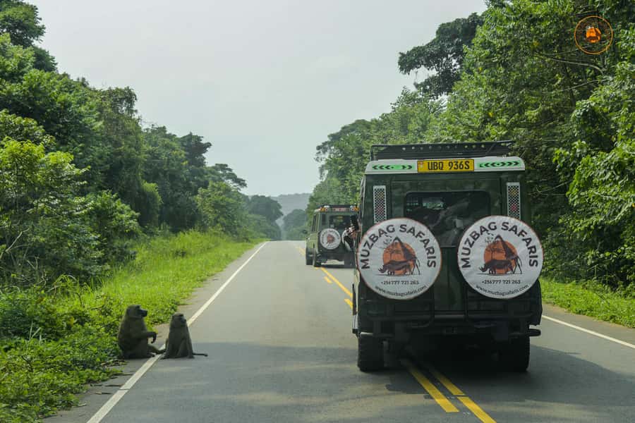 The Big5 3 Days Wildlife Adventure Experience in Uganda. - The Nile boat ride to the base of the falls
