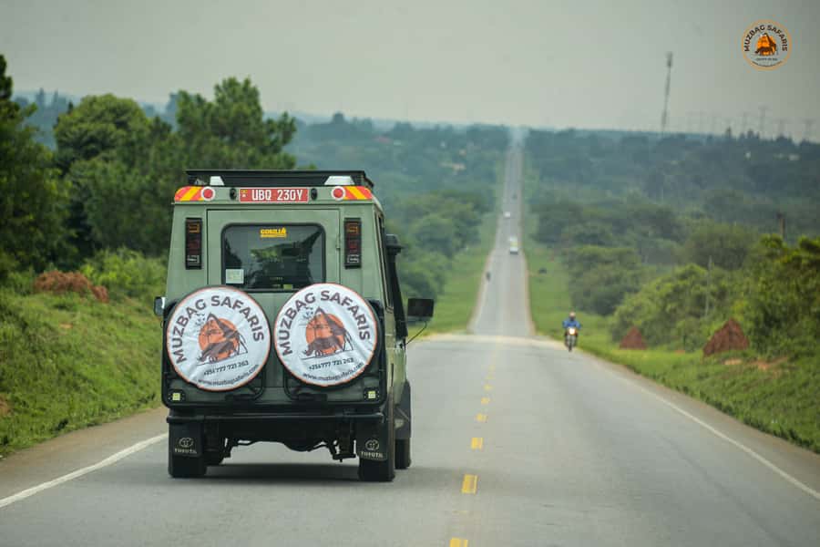 The Big5 3 Days Wildlife Adventure Experience in Uganda. - Hiking to the top of Murchison Falls