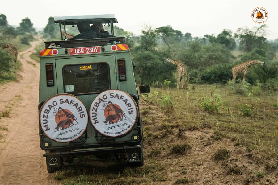 The Big5 3 Days Wildlife Adventure Experience in Uganda. - Pakuba Lodge and the practical side of comfort