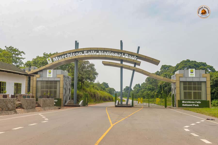 The Big5 3 Days Wildlife Adventure Experience in Uganda. - Guide quality can shape the whole three days
