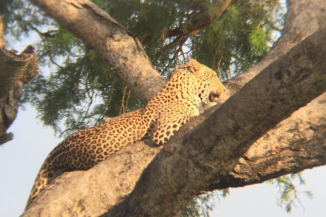 Three days escape to Queen Elizabeth National park - What the $800 price really covers