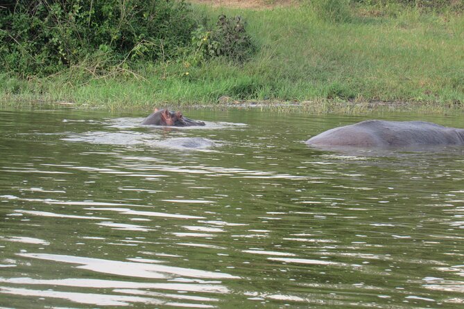 Three days escape to Queen Elizabeth National park - Lunch and the three-hour Kazinga Channel cruise