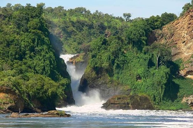 Three Days Murchison Falls National Park Tour in Uganda - Day one: rhinos, the park gate, and the falls
