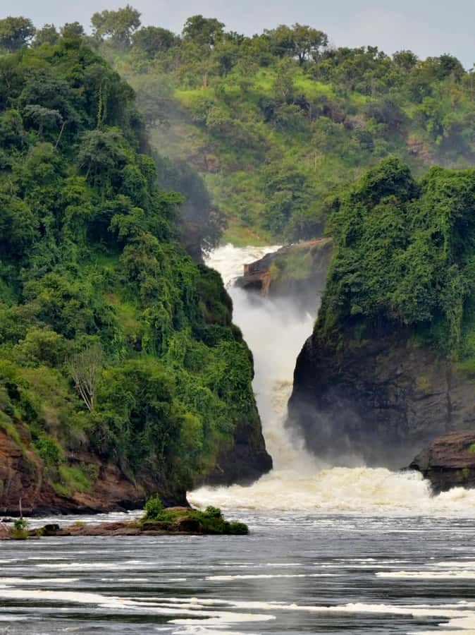 Uganda: 3-Day Gorilla Experience from Entebbe - Key points to know before booking