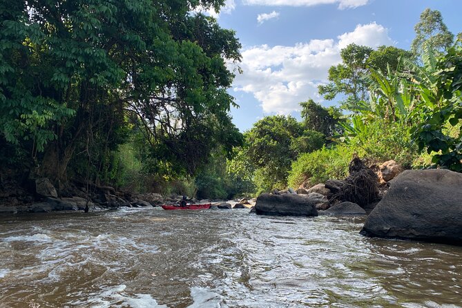 Uganda Jungle Rafting - Five things to know before you book