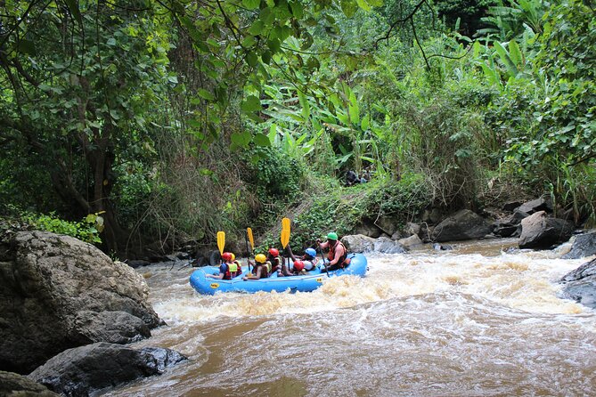 Uganda Jungle Rafting - Four hours and 25 kilometers on the Birira