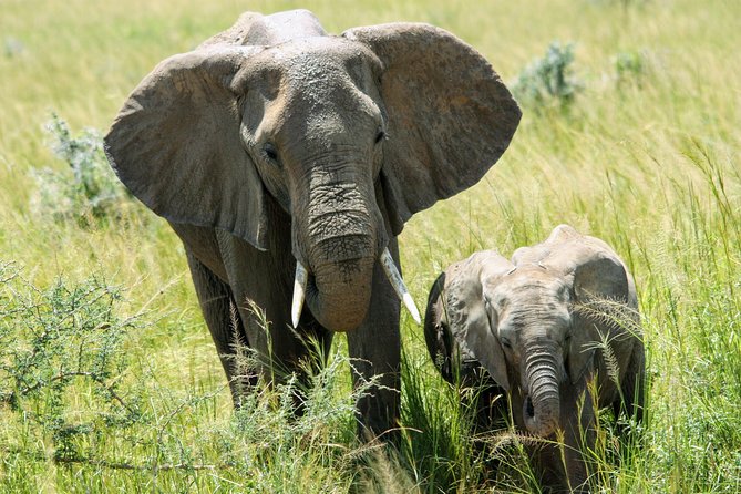 Uganda Wildlife Holiday - 8 Days - Day 2: The long road to Kibale Forest