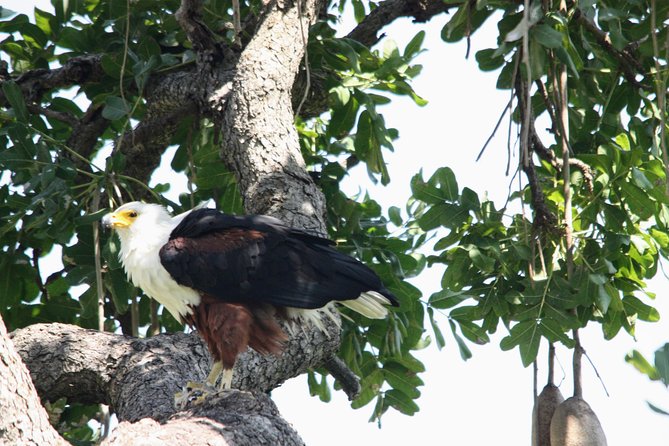 Uganda Wildlife Holiday - 8 Days - Day 4: Caves, crater lakes, and the road to Queen Elizabeth