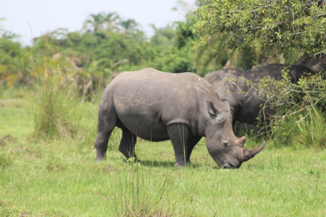 Unforgettable 3 days Murchison falls. - What the private format changes