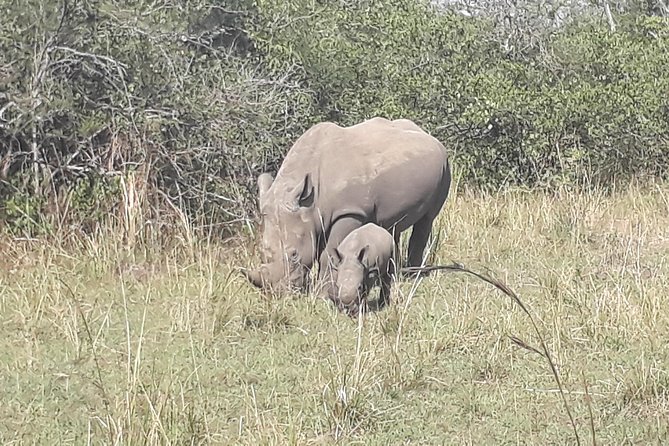 Zziwa Rhino Sanctuary Walking Safari - Leaving Kampala at 6:00 a.m.