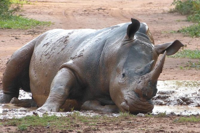 Zziwa Rhino Sanctuary Walking Safari - The three-hour drive north from Kampala