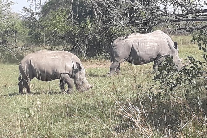 Zziwa Rhino Sanctuary Walking Safari - Lunch and the practical value of the package