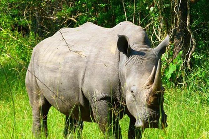 Zziwa Rhino Sanctuary Walking Safari - Cancellation and booking details